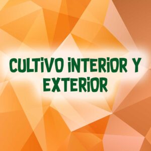 CULTIVO INTERIOR Y EXTERIOR